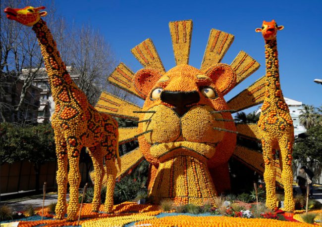 ���������� �� ����������: �� ������� ��������� Lenon Festival