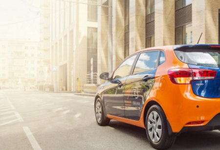 ��������� Belka ������ �� ���� �� ��������!
