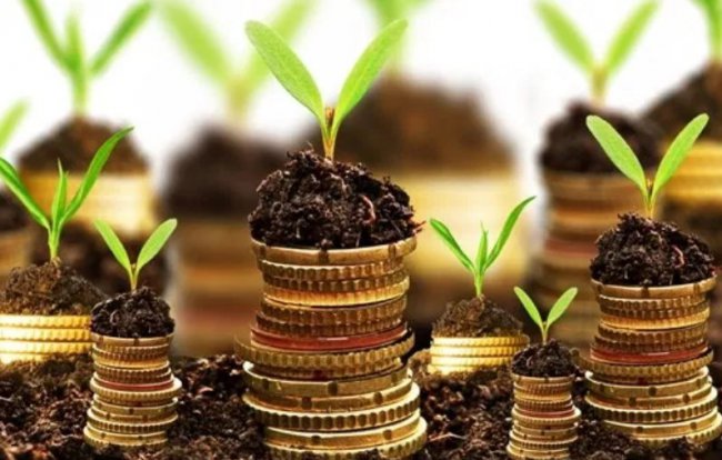 ����������� ������� Petrobras ��������� ��������