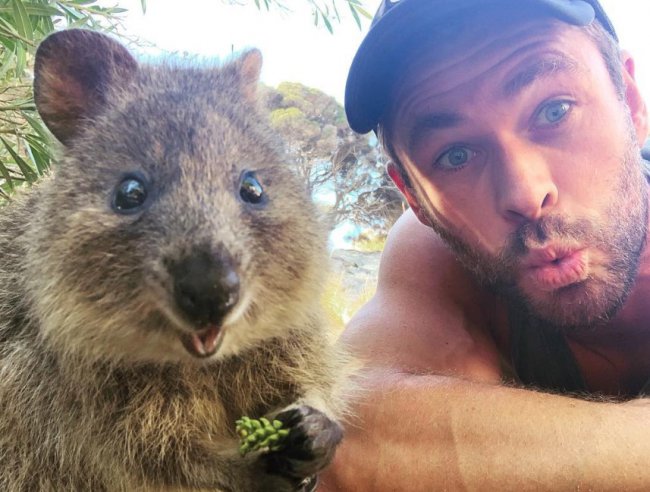 ���� �������� ������ ��������� Marvel