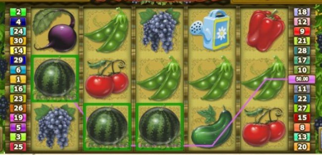 ������� ���� Farm Slot