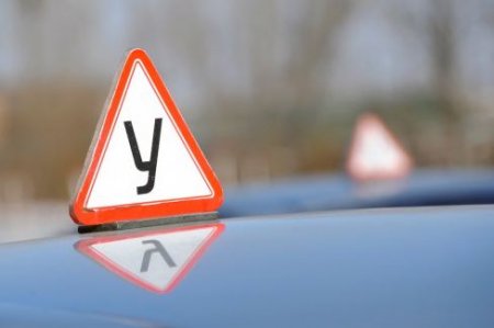 � ������ ������� ������ � ���� �����������, ����������� ������� �� �����