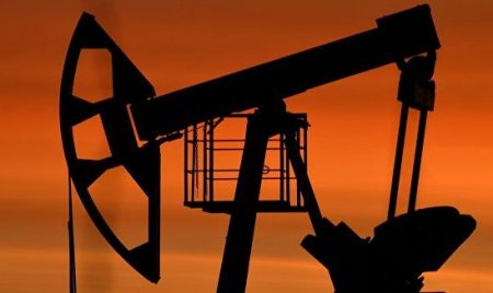 ���� ����� WTI �������� ��������� �� ���� ���