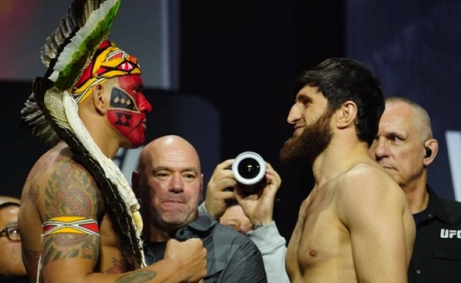 ������� �������� ���� ��������� UFC � ����������� ����